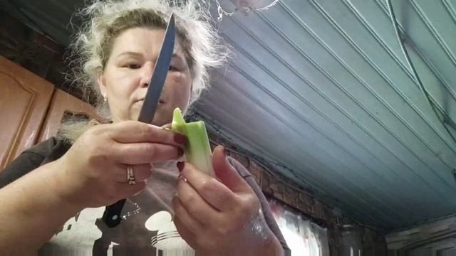 чеснок, классные посылки, посадка орхидеи на блок