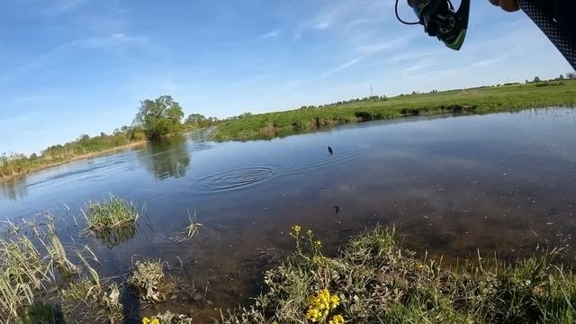 ВОТ ЭТО КРУПНЯК!!РЫБАЛКА НА ПОПЛАВОК ВЕСНОЙ 2024.РЫБАЛКА В НАЧАЛИ МАЯ.