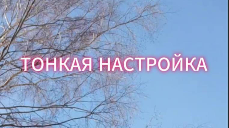 Подкаст "Тонкая Настройка"