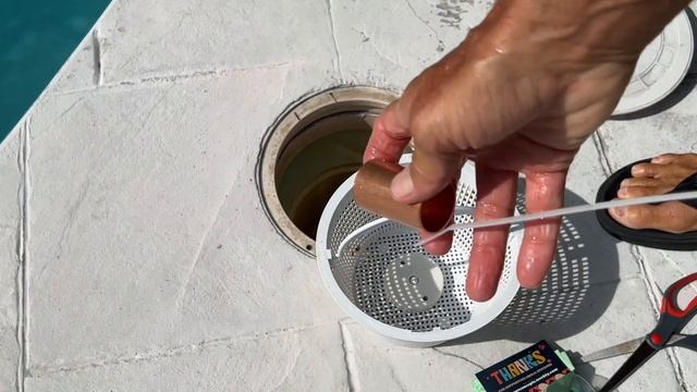 Lets find out if Copper kills algae and saves on Chlorine смотреть онлайн