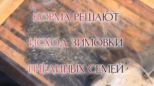 ФЕВРАЛЬСКИЙ ОСМОТР ПЧЁЛ.