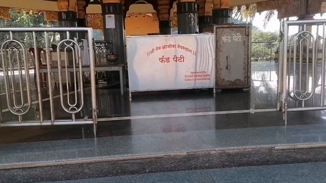 Индия. Гоа. Керимский пляж. Дикие обезьяны