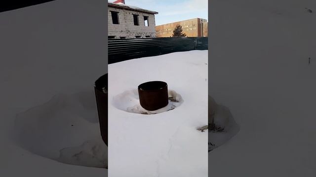 лучше синица в руках чем журавль в небе смотреть онлайн