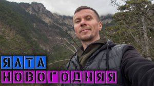 В Симеизе +14 / Поехал в Ялту стричься / Елочные базары в Ялте / Солим Маслины #игнатсолошенко 397