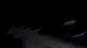 Вызовы духов вызов духа Тима маски