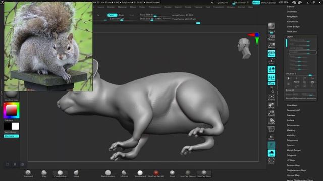 07 CHUBBY SQUIRREL ANATOMY SCULPT IN ZBRUSH