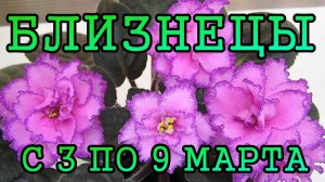 БЛИЗНЕЦЫ таро прогноз на неделю с 3 по 9 МАРТА 2025 года.