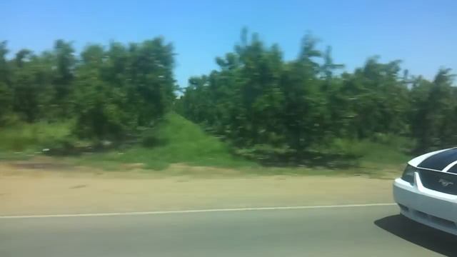 Audi S4 vs Mustang смотреть онлайн