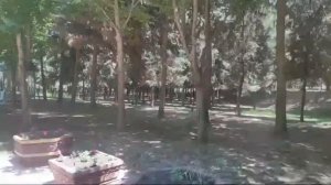 Соғлиқни тиклаймиз. Шаханд санаторияси. Наманган