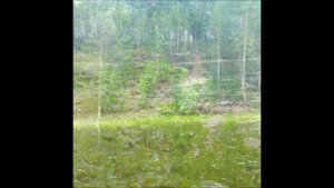 Ю Адамов, авторская песня и в клип Река моей юности