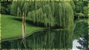ПЕСНЯ   СПЕТАЯ   СЕРДЦЕМ !    ГОРЬКО   ПЛАКАЛА   ИВА !
