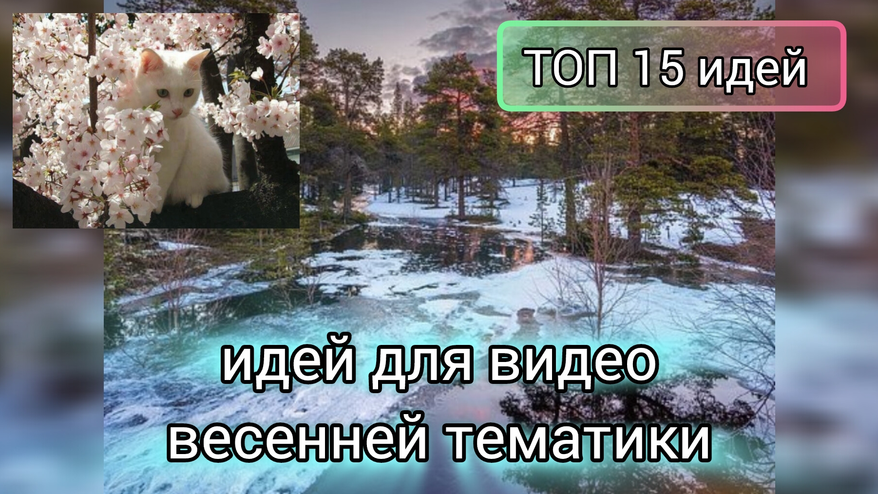 ТОП 15 идей для видео весенней тематики 