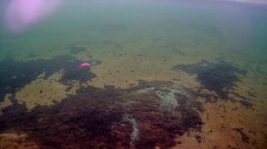 Первое озеро Челябинск  30,03,2024