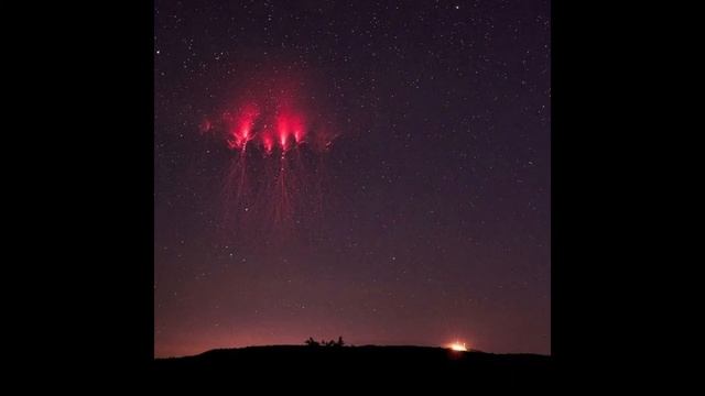 Cosmic jellyfish смотреть онлайн
