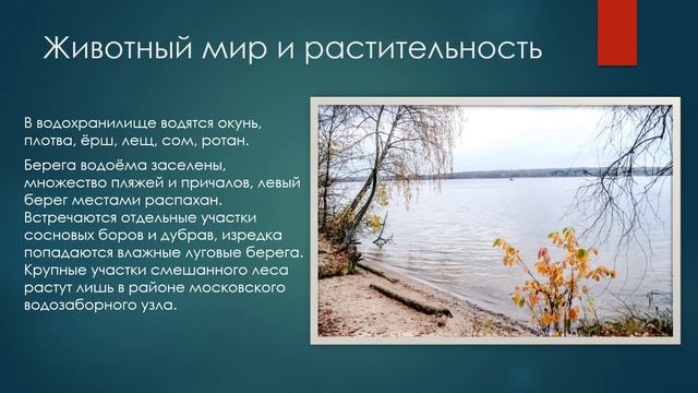 Клязминское водохранилище Миронов Егор 10 лет МБОУ СОШ 10 г Мытищи смотреть онлайн