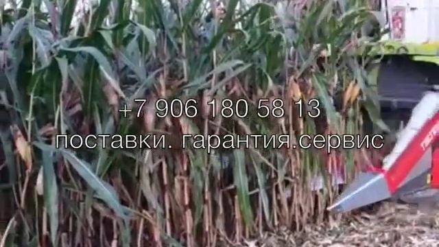 Техномаис-Tecnomais кукурузная жатка для высокпроизводительных комбайнов