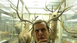 №53. Ох, и дурят же нашего брата! Они зубки пастой не чистят. (муз. Зубки)