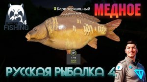 Карп Зеркальный. Медное. Русская Рыбалка 4