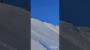 СНЕГА НЕТ, Мамай 02.2025