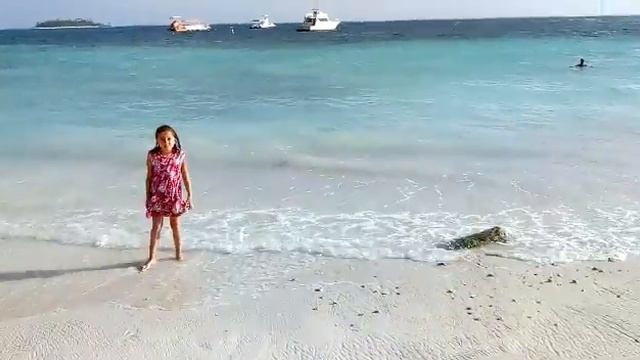 Adriano baila salsa смотреть онлайн