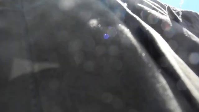 Ancient limestone Cretaceous period possible trace fossil June 21 2018 смотреть онлайн