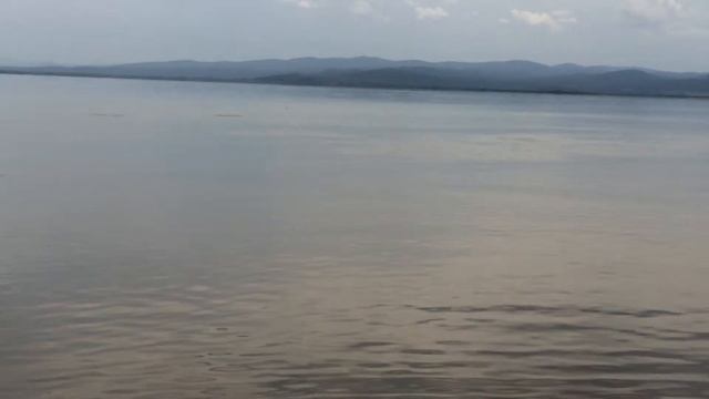 бой окуня смотреть онлайн