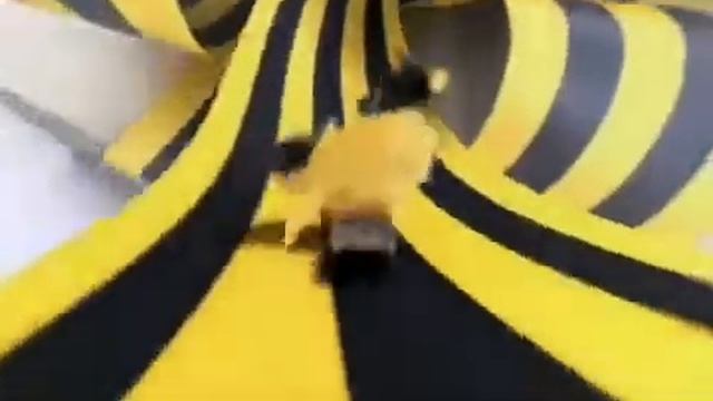 крутые птенчики смотреть онлайн