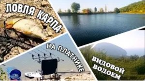 Ловля карпа. Карпфишинг. Ялта рыбалка.