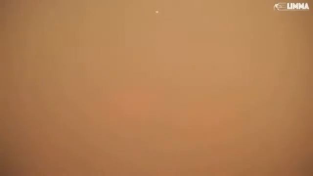 Гепард смотреть онлайн