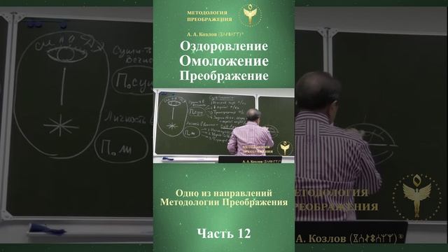 Оздоровление Омоложение Преображение. ведет Александр Козлов, автор "Методологии Преображения"