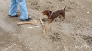 Неожиданная поездка на море\ ГИПСовые изделия с паталью