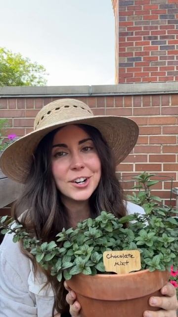 3 Essential Herbs to Plant in Pots shorts garden