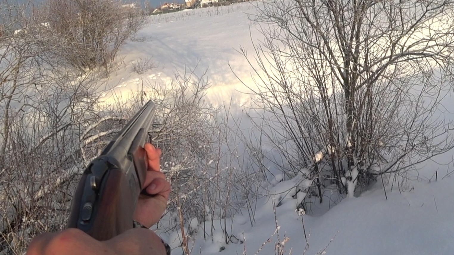 Охота на зайца в Ленинградской области (сезон 2023-2024). 03.12.2023год смотреть онлайн