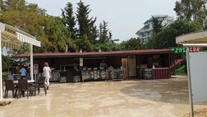 ОТЕЛЬ ARMAS GREEN FUGLA BEACH 4* ТЕРРИТОРИЯ НА ПЛЯЖЕ. ТУРЦИЯ 2019. АЛАНЬЯ. АВСАЛЛАР.