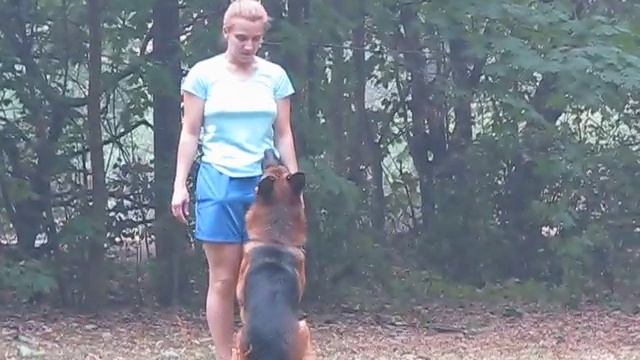 лекс смотреть онлайн