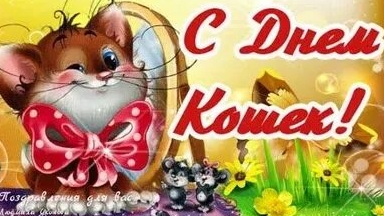 С днём кошек. Музыкальное поздравление.