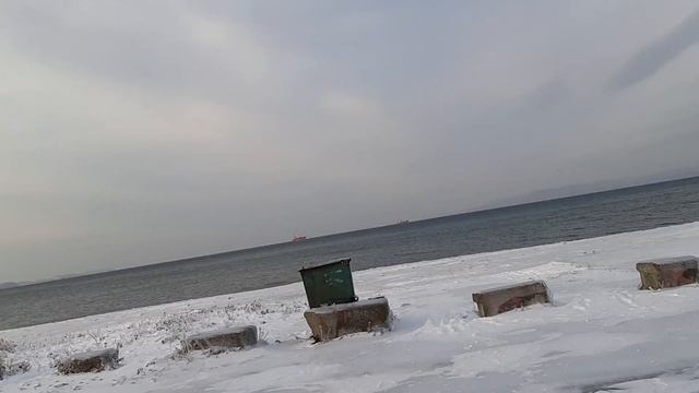 Vladivostok. Лед на деревьях. смотреть онлайн