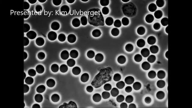 LIVE BLOODCELL MICROSCOPY смотреть онлайн