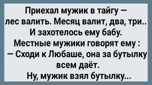 Как Мужик в Тайге к Любаше Ходил! Сборник Свежих анекдотов! Юмор!