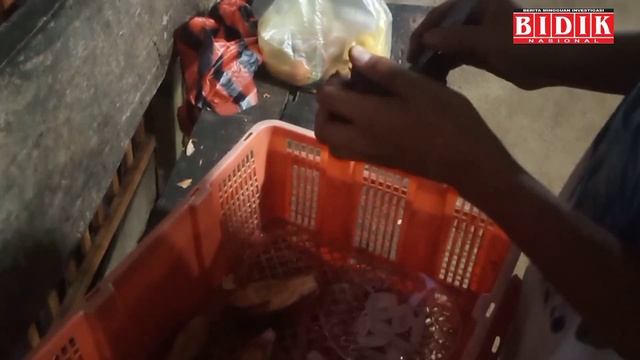 Manfaat dan Khasiat Buah Nipah...