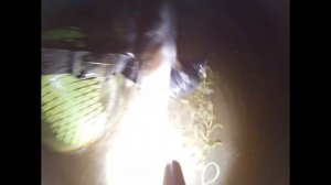 Подводная охота на Волге