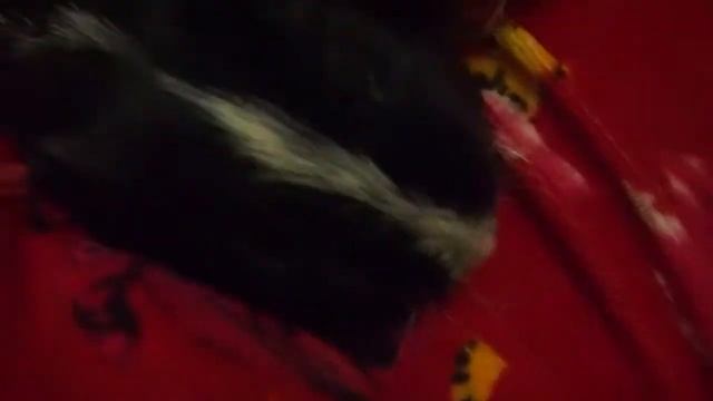 Что случилось? смотреть онлайн