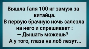 Как Галя 100 КГ за Китайца Замуж Вышла! Сборник Свежих Анекдотов! Юмор!