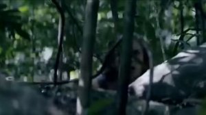 Phim Kinh Dị Mỹ ĐẢO SĂN MỒI  Cực Hay 2021 Thuyết minh full Hd