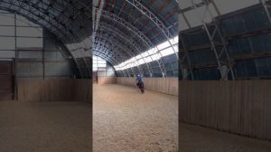 Светлана и Аквилон, ППДА. #horse, #equestrian, #лошади, #pony, #конный спорт.