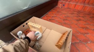 Немцы выбрасывают хорошую мебель и технику/Обзор шпермюля в Германии