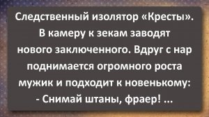 Фраер Попал в СИЗО Кресты и Мёртвый Летчик! Сборник Самых Свежих Анекдотов!