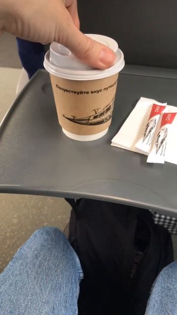 Поезд «Ласточка» СПб-Бологое. #shortvideo #shorts смотреть онлайн