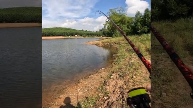 Test Thử Mồi Lure Chuột Của LK смотреть онлайн