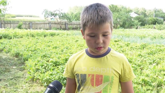 И хлопот мало, и прибыль хорошая: вместо картофеля мамадышская семья начала выращивать викторию смотреть онлайн